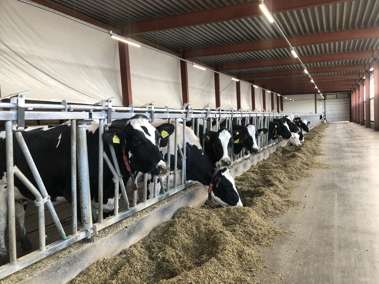 РБК Татарстан