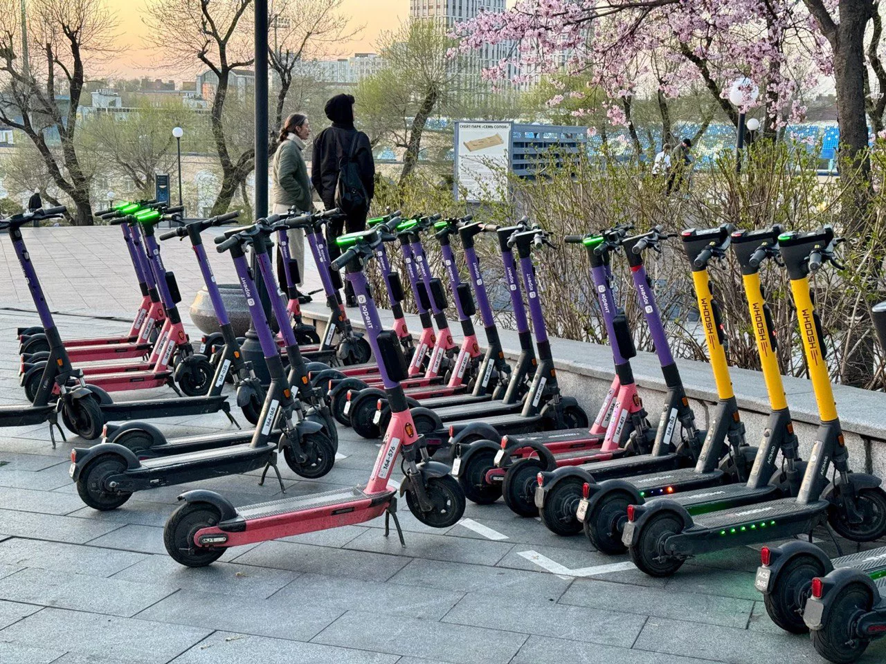 РБК Приморье