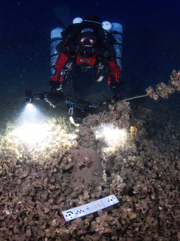 Фото: culture.gov.gr