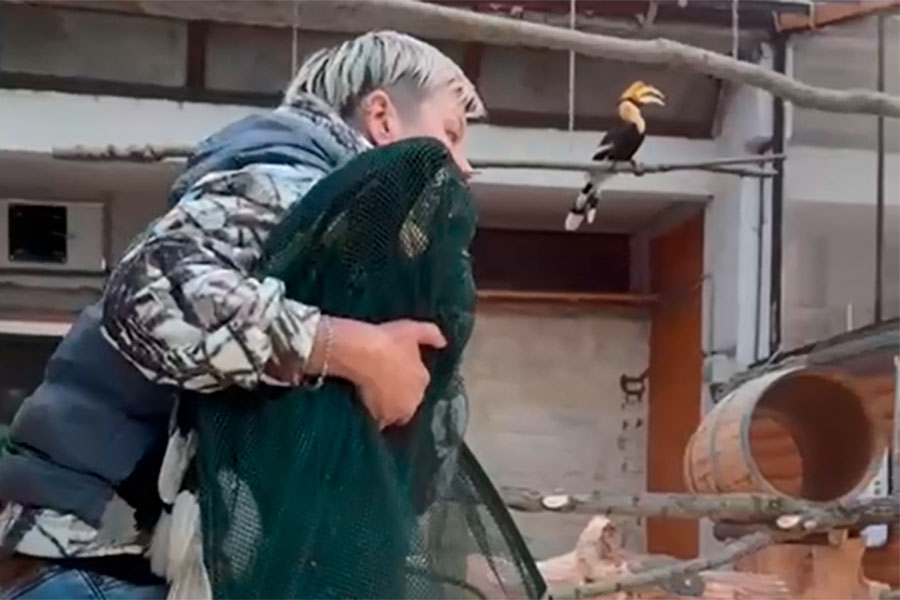 Фото: Ленинградский зоопарк / Telegram