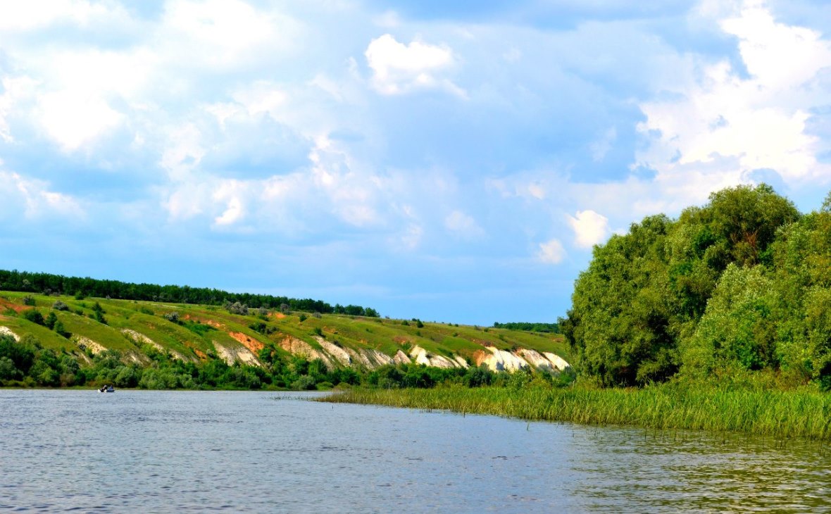 Фото: Река Дон (Фото: Ольга Базелюк)