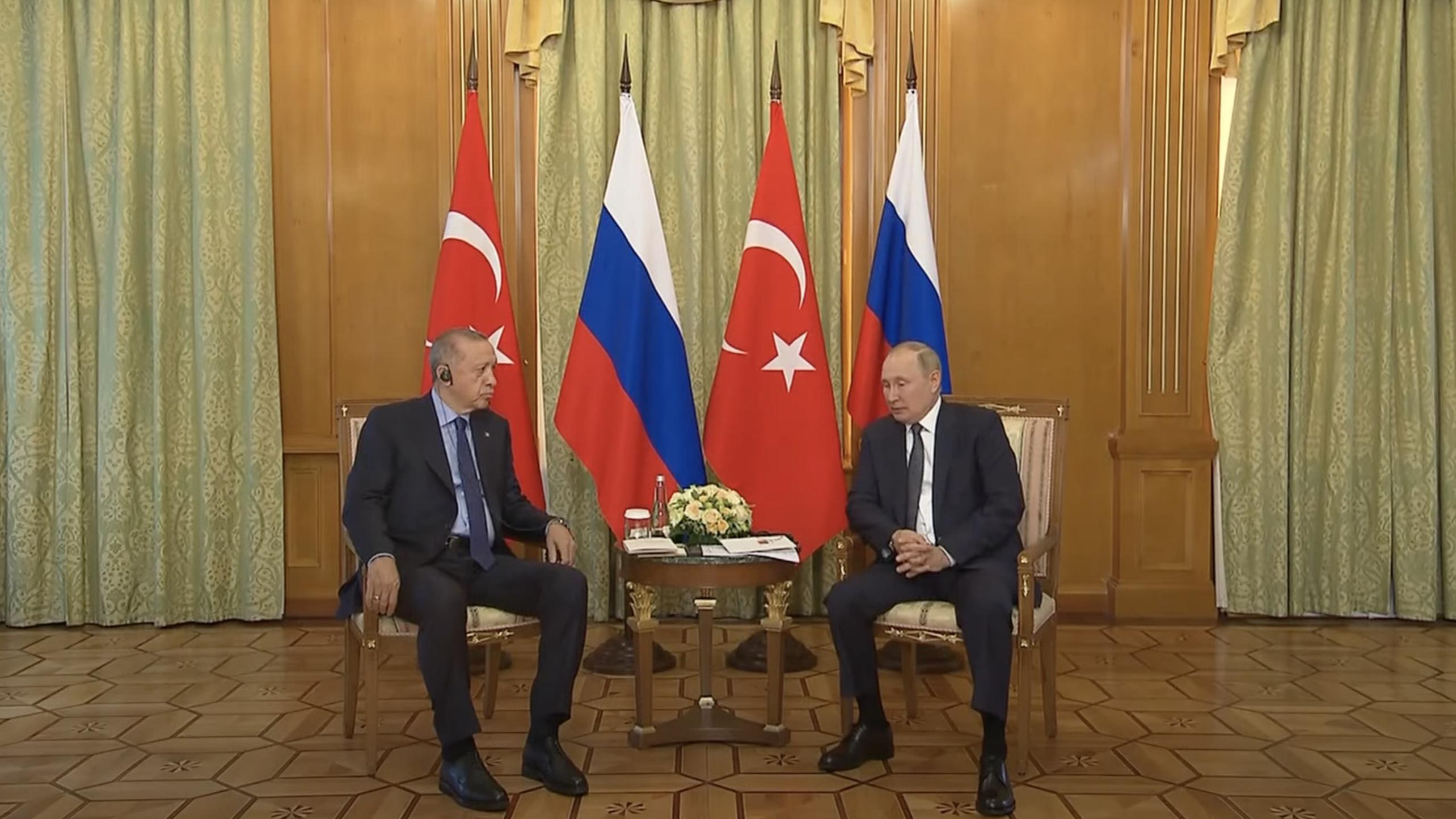 Путин поблагодарил Эрдогана за помощь с решением о вывозе зерна с Украины