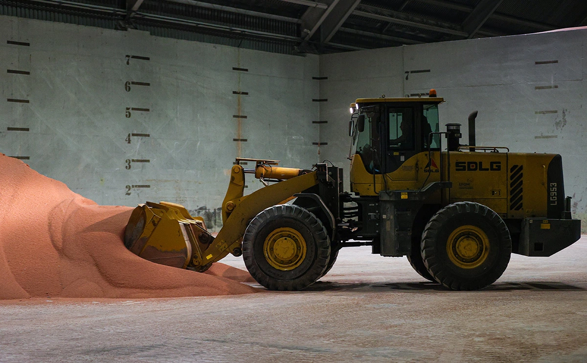 Эрик Романенко / ТАСС