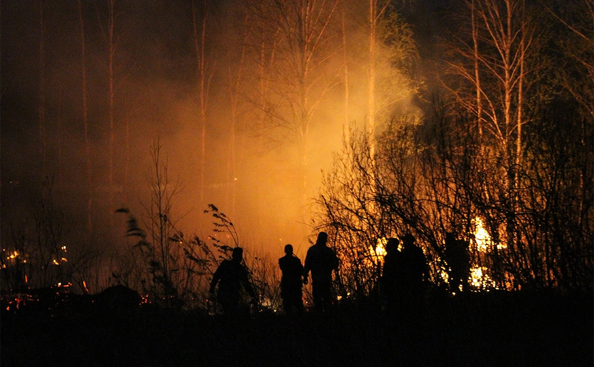 Наталья Горшкова / РИА Новости