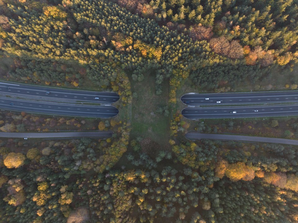 Экодук Natuurbrug Zanderij Crailoo.