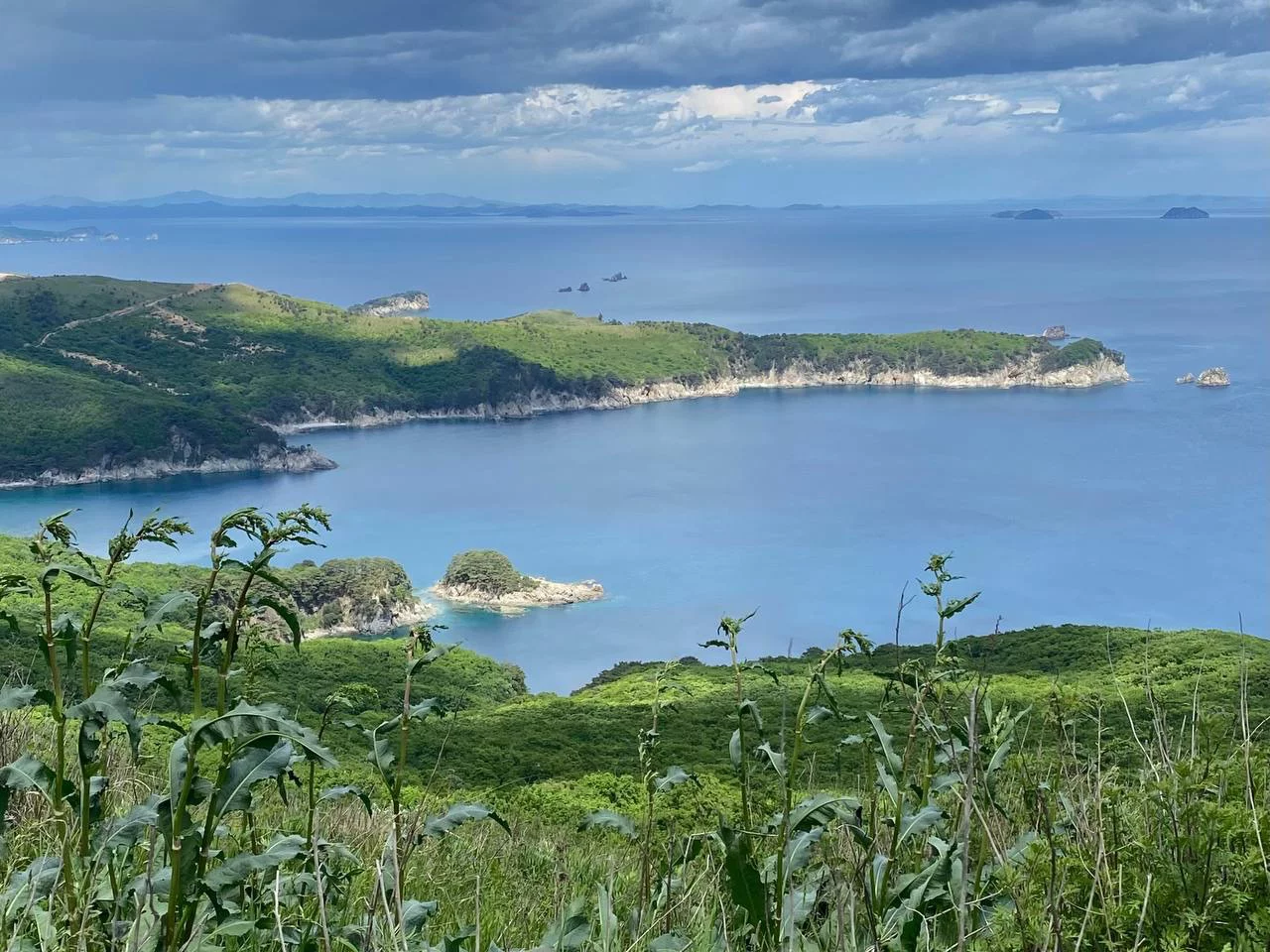 РБК Приморье