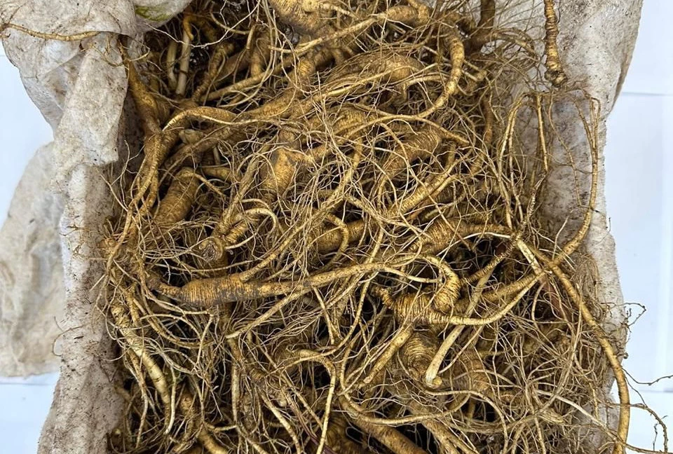 пресс-служба Дальневосточного таможенного управления ФТС