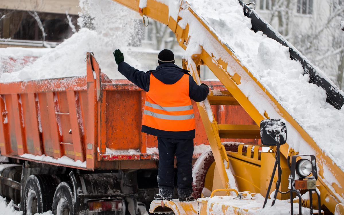 Фото: Shutterstock