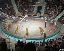 В Петербурге горит ангар с цирковыми животными