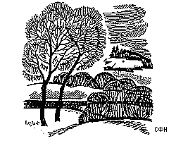 Сибирские реки – самые загрязненные в мире