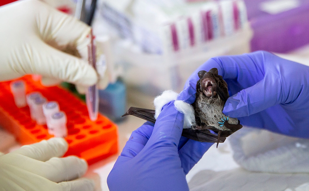  Lauren DeCicca / Getty Images