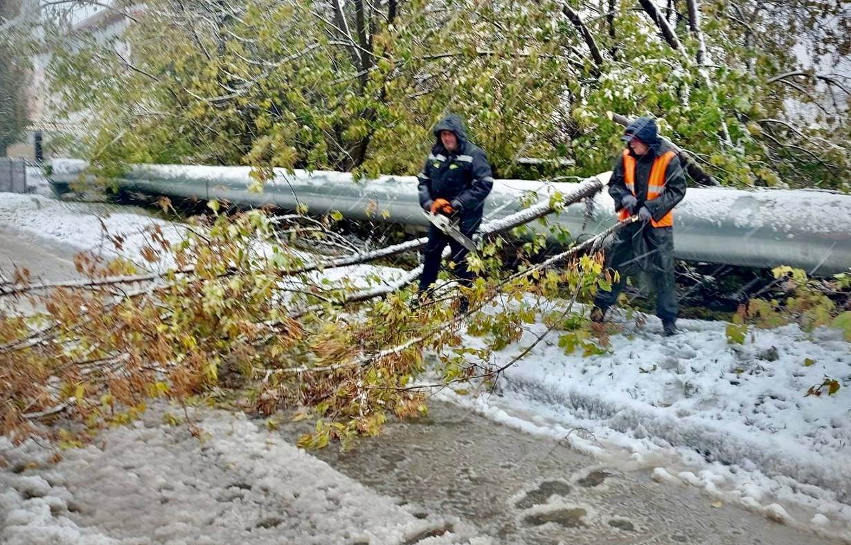 Фото: Администрация Нижнего Новгорода 