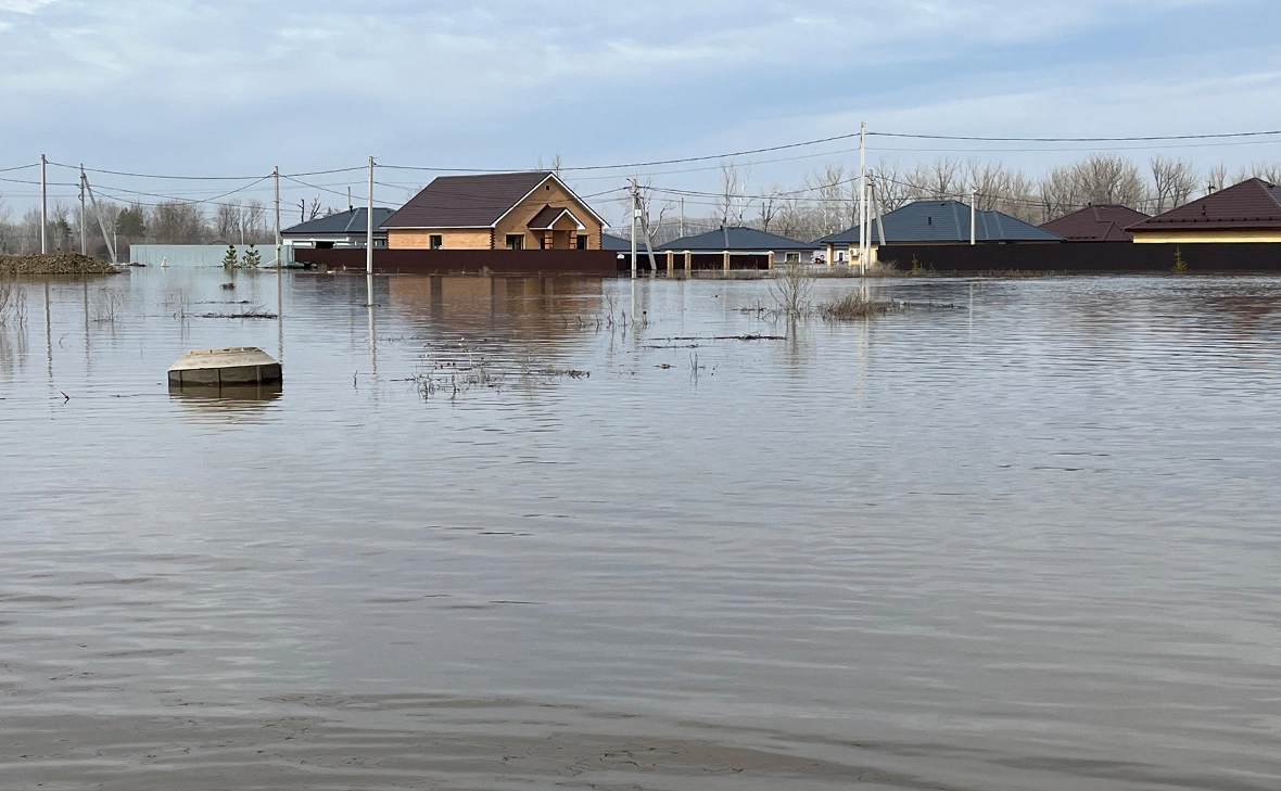Мария Лисицына / РБК