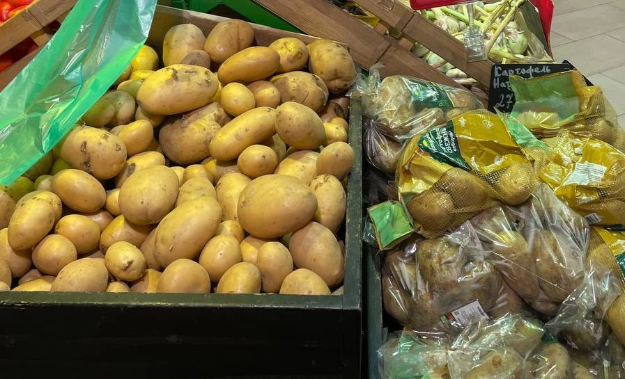 Марина Маркевич