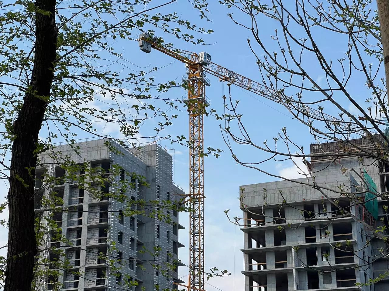 РБК Приморье