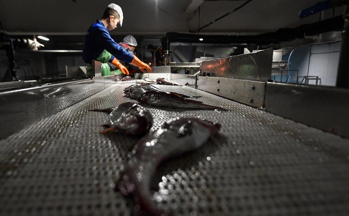 Юрий Смитюк / ТАСС