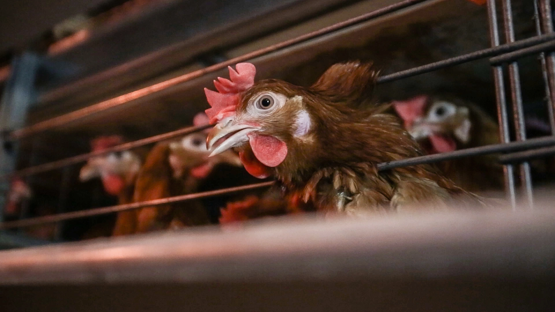 Правительство Камчатского края