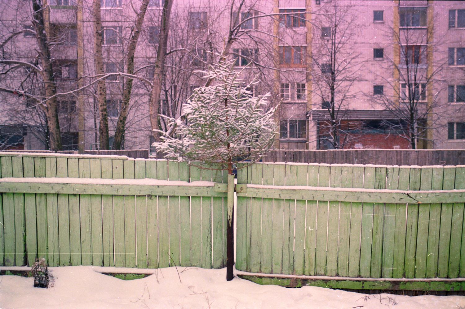 Леонид Тишков, «Farewell to the Christmas Tree. Прощание с новогодней елкой», 2000