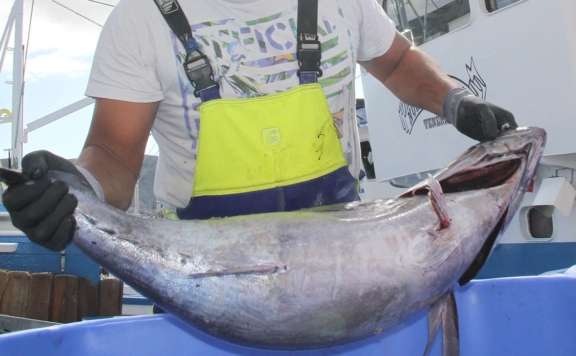 Mercedes Menendez / ZUMA / Global Look Press