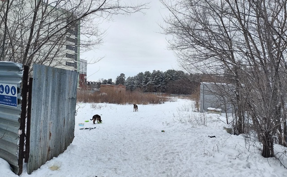 Прокуратура Омской области