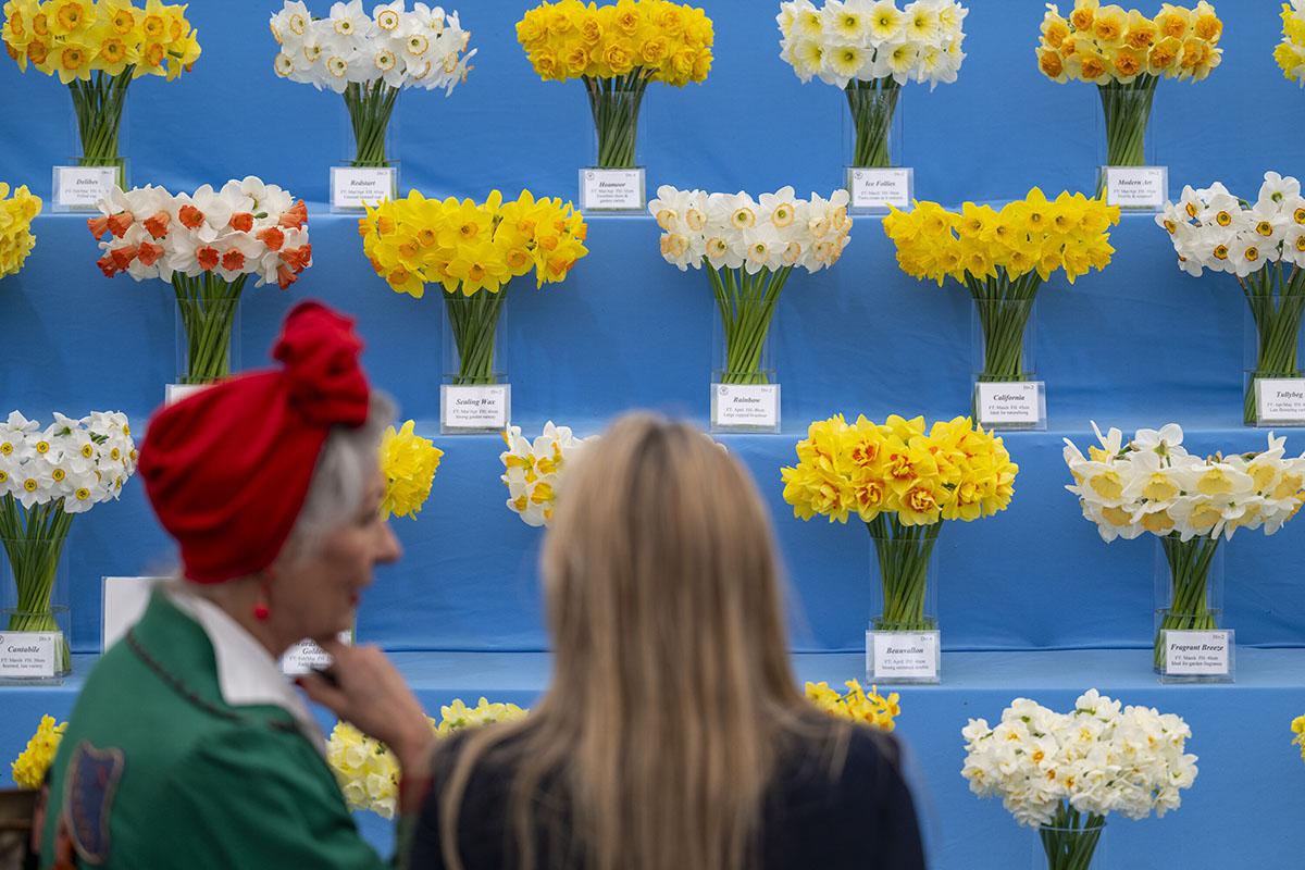 Выставка цветов RHS Chelsea Flower Show 2026 – Лондон, Великобритания