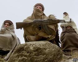 "Талибан" заявил об убийстве заложников-иностранцев