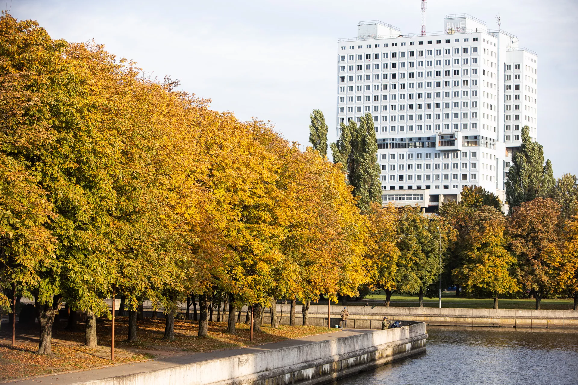 Александр Подгорчук