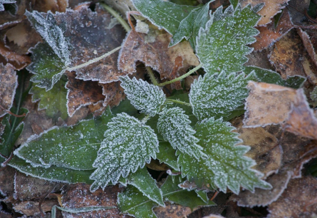 Денис Моргунов / URA.RU