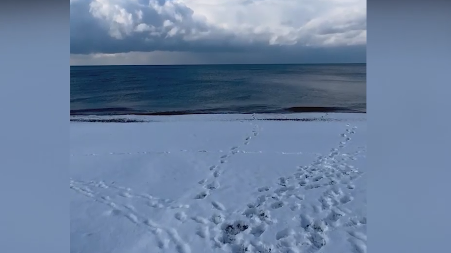 Пляжи Сочи покрылись снегом. Видео