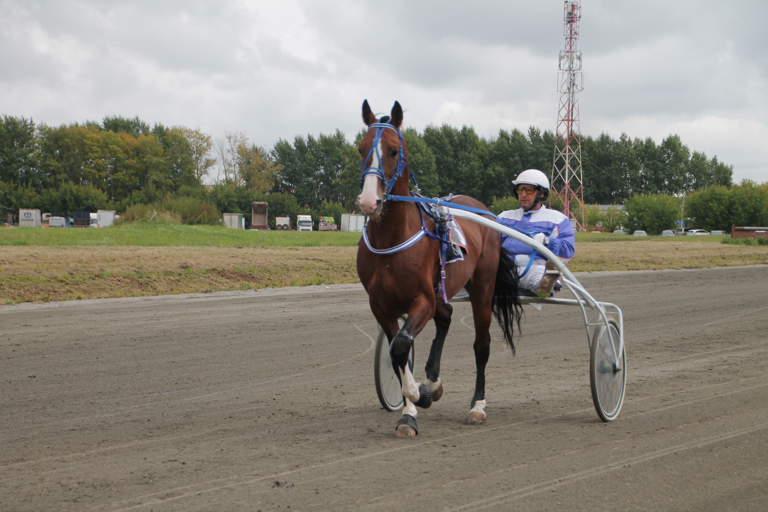 Фото: Ольга Дерюшева