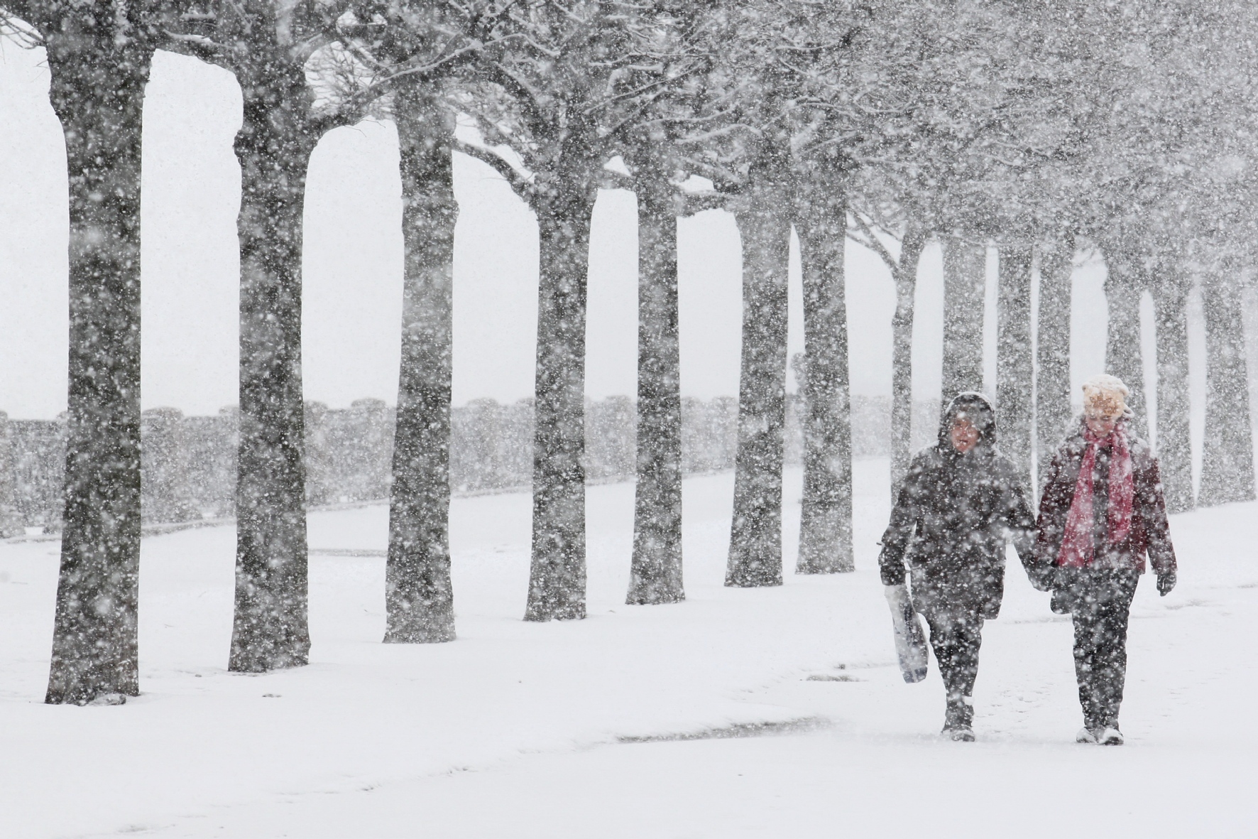 Фото: PhotoXPress