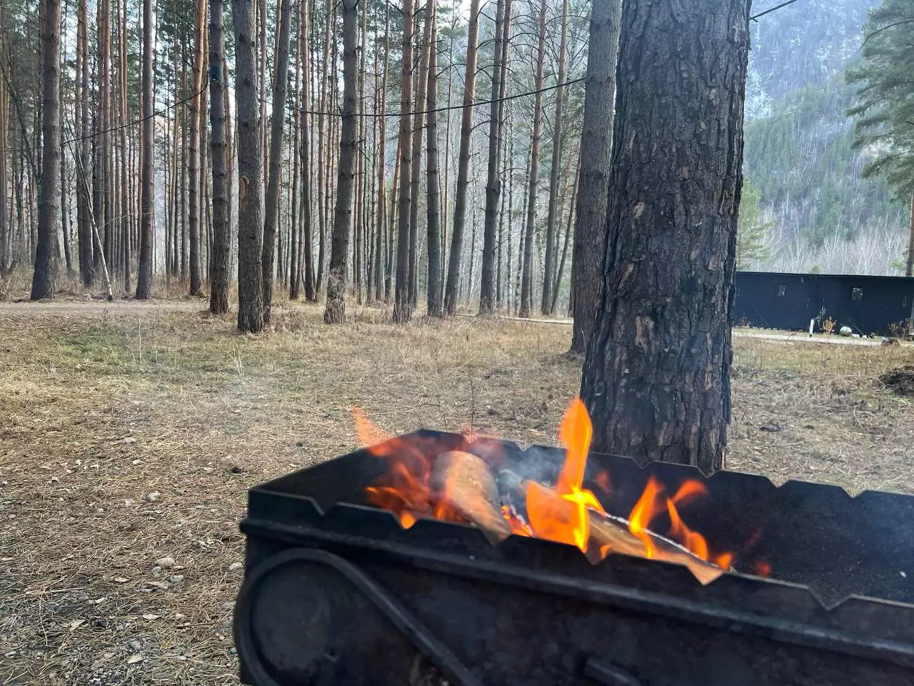 РБК Новосибирск