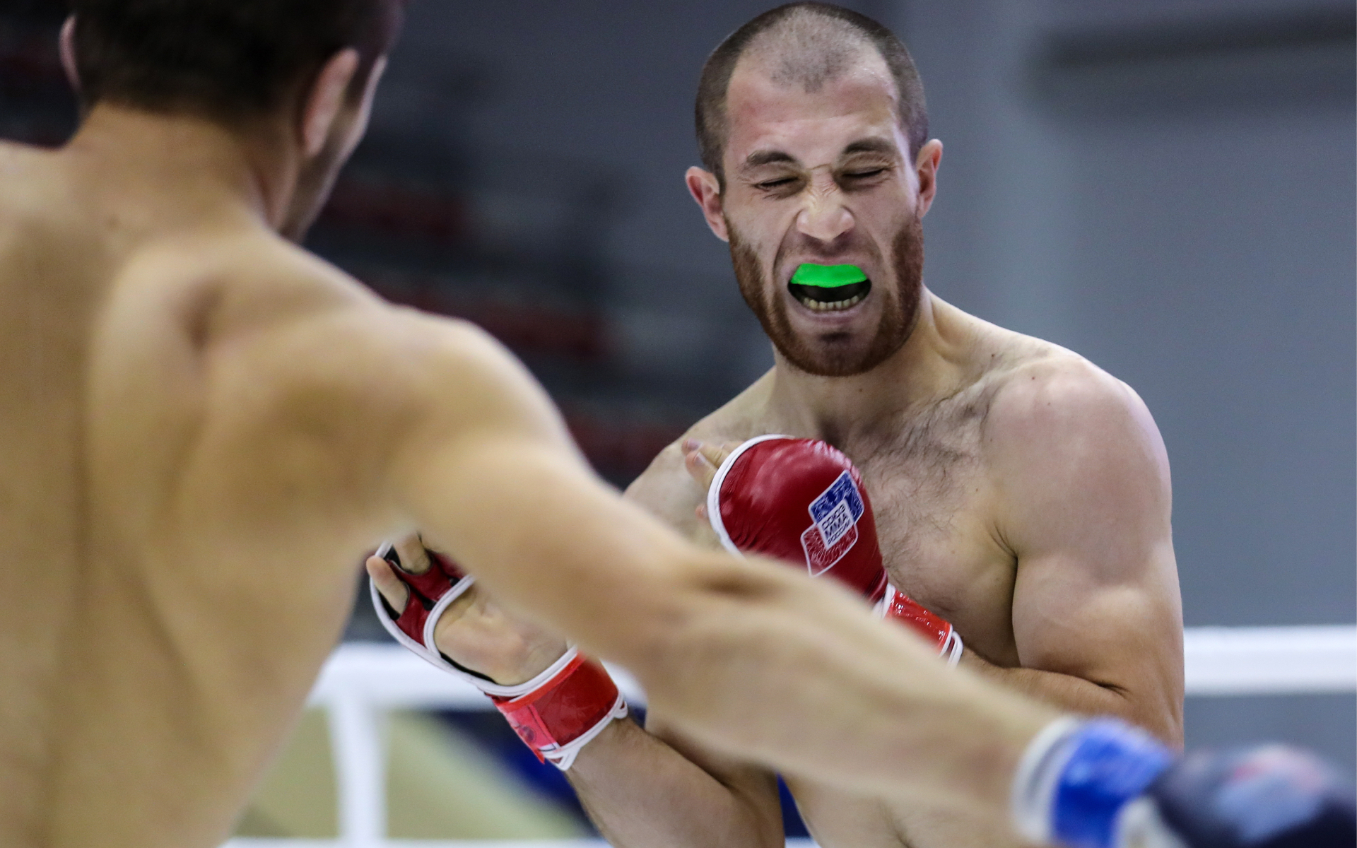 Глава АСА объявил о планах провести чемпионский бой в Краснодаре