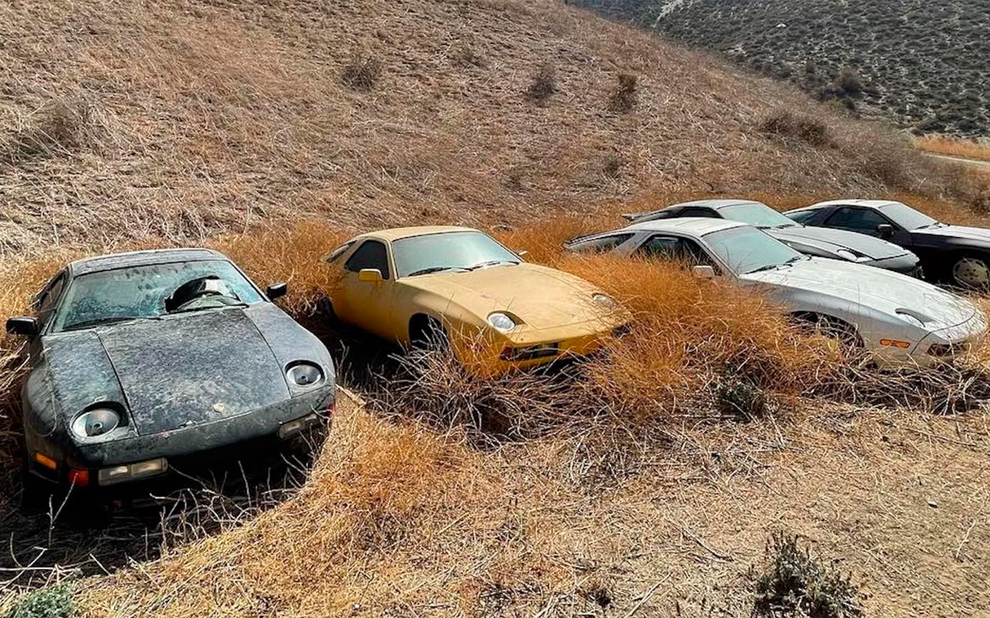 В Калифорнии нашли кладбище автомобилей Porsche. Фото
