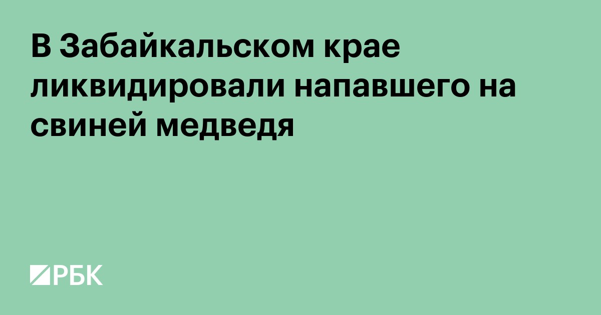В Забайкальском крае ликвидировали задравшего домашних свиней медведя