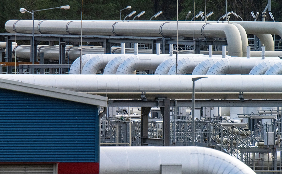 Данил Шамкин / ZUMAPRESS.com / Global Look Press