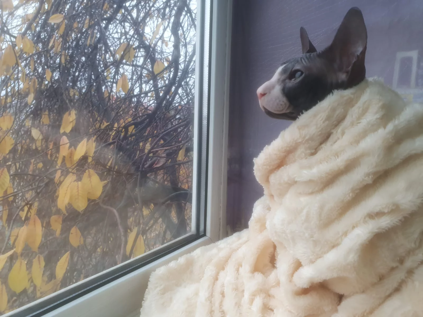 РБК Приморье