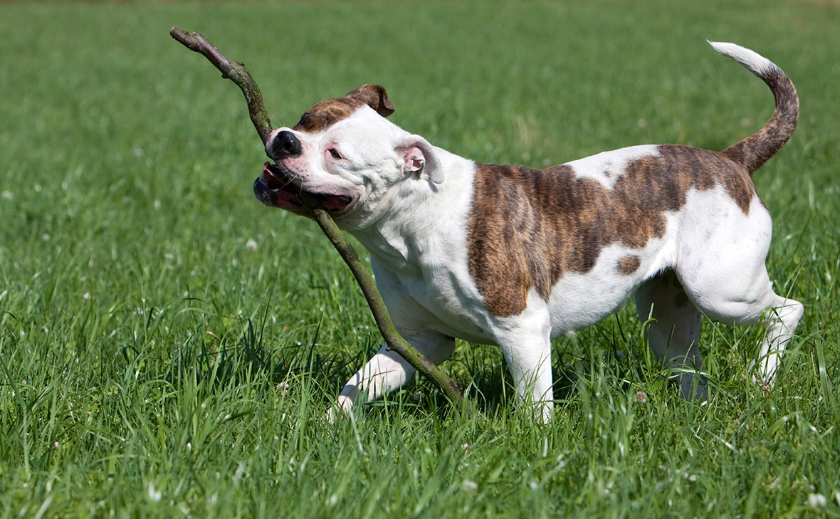 Lutz Gerken / imagebroker.com / Global Look Press