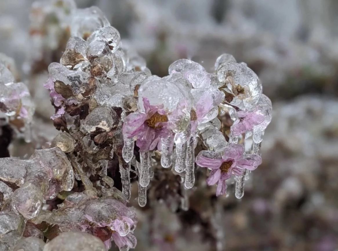 РБК Приморье