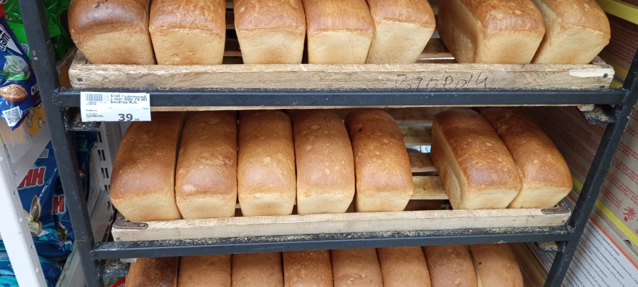 Светлана Садырина