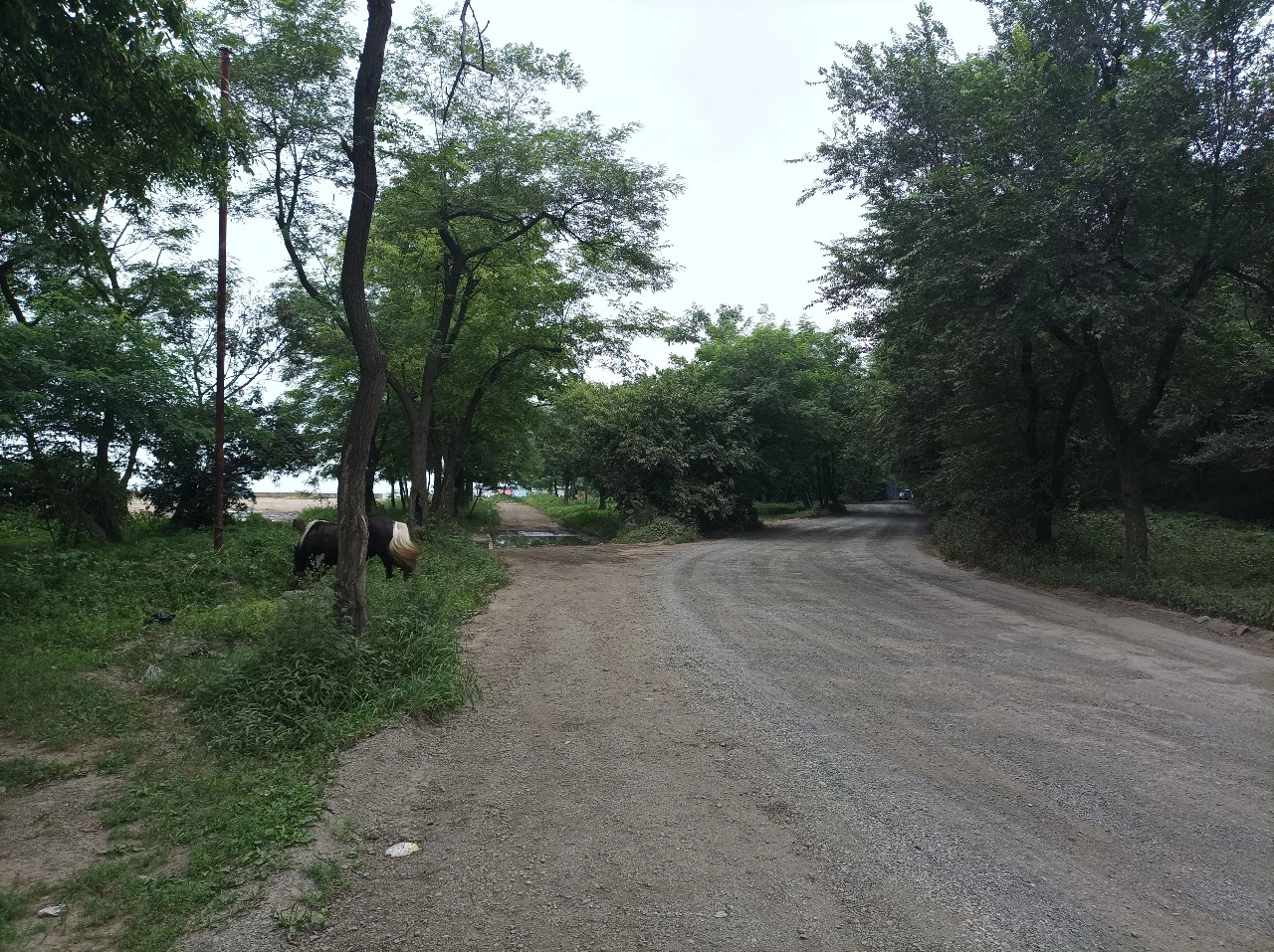 РБК Приморье