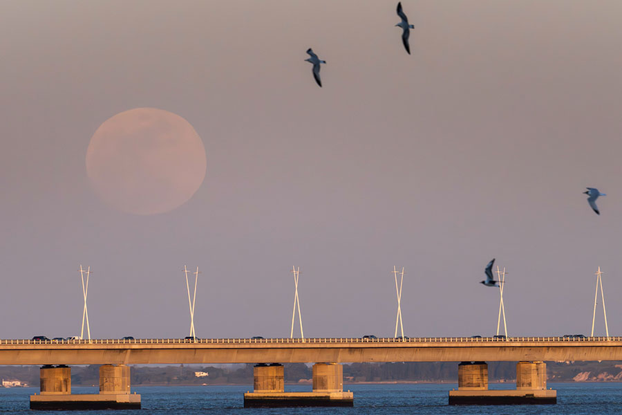 Jorge Castellanos / Keystone Press Agency / Global Look Press