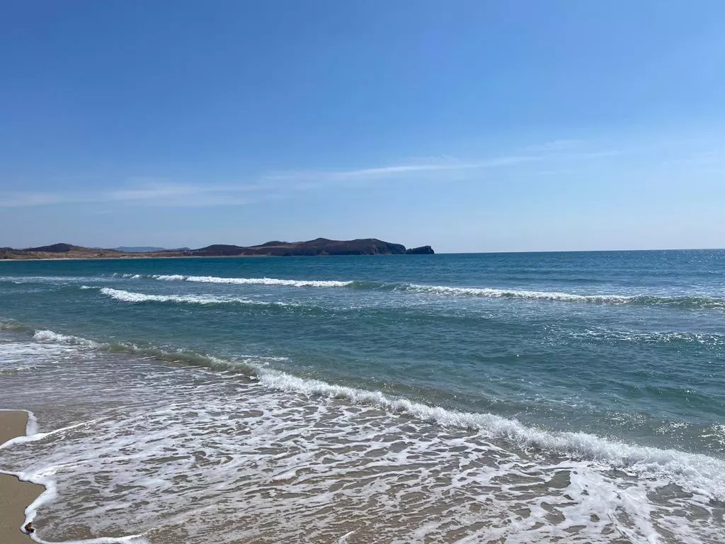 РБК Приморье