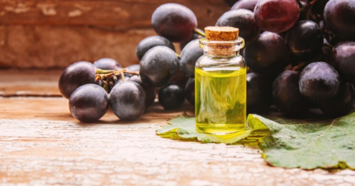 «Фанагория» построит на Кубани цех для производства масла за ₽40 млн — РБК