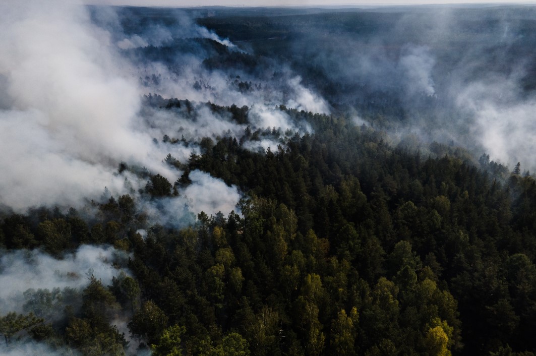 В Тюменской области с 7 мая из-за ухудшения обстановки с лесными пожарами введен режим ЧС