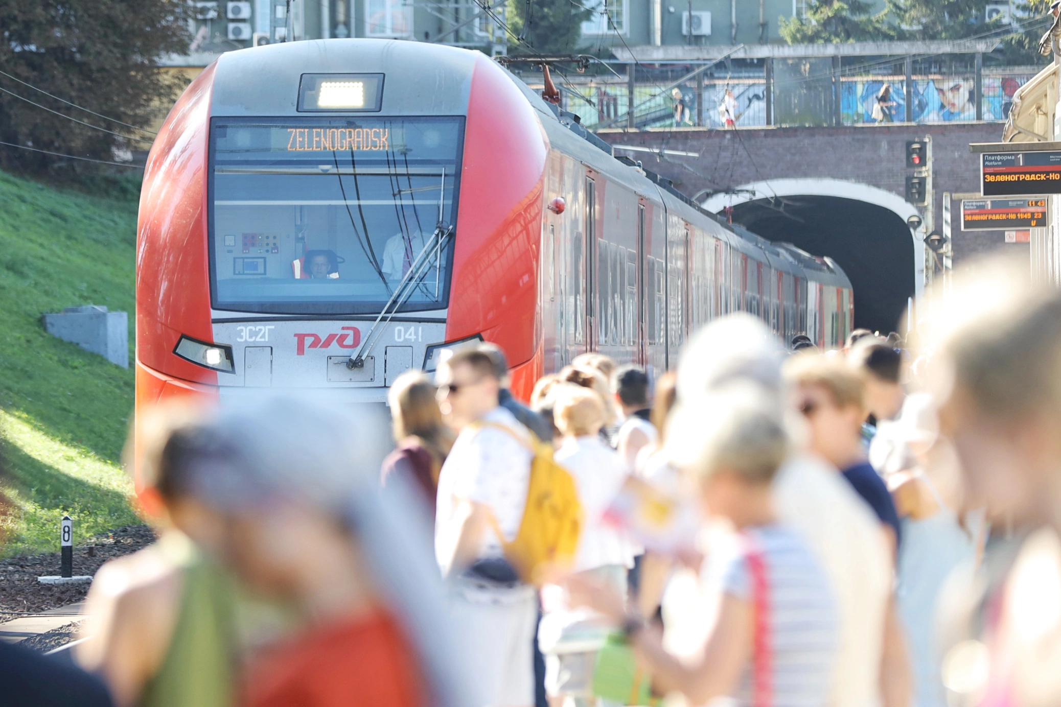 Александр Подгорчук