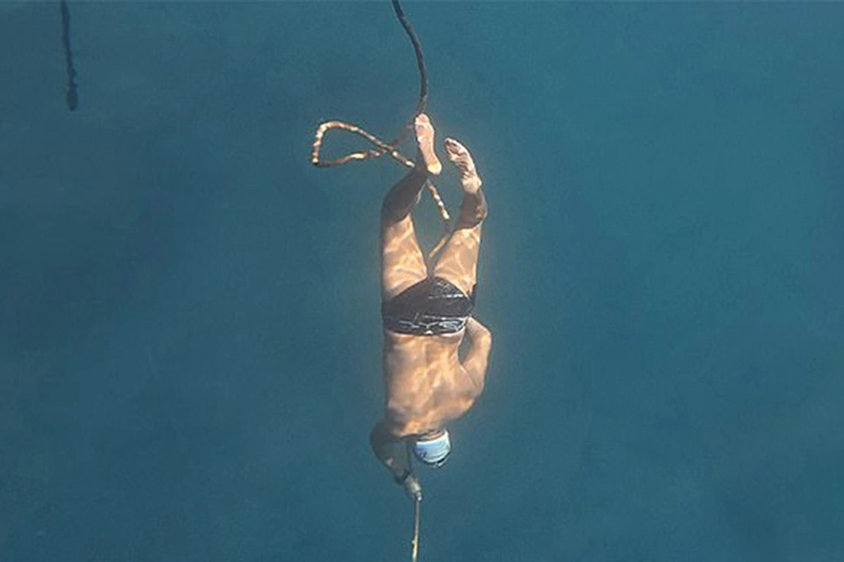 Вальдемар Брудерер