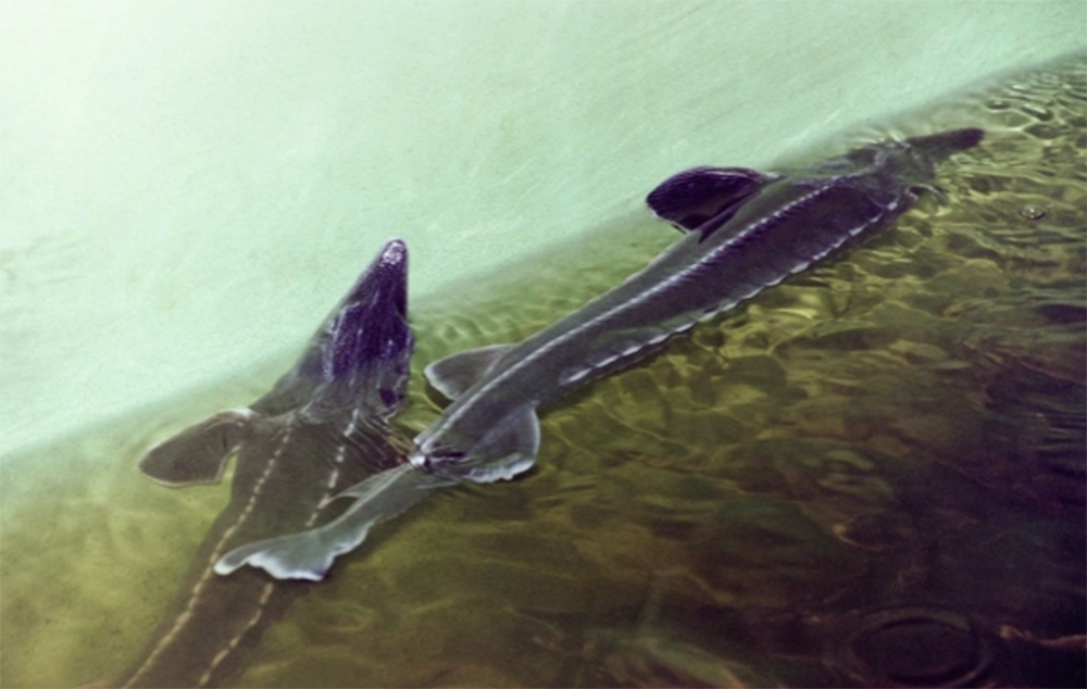 Фото: globallookpress.com, Виктор Лисицын 