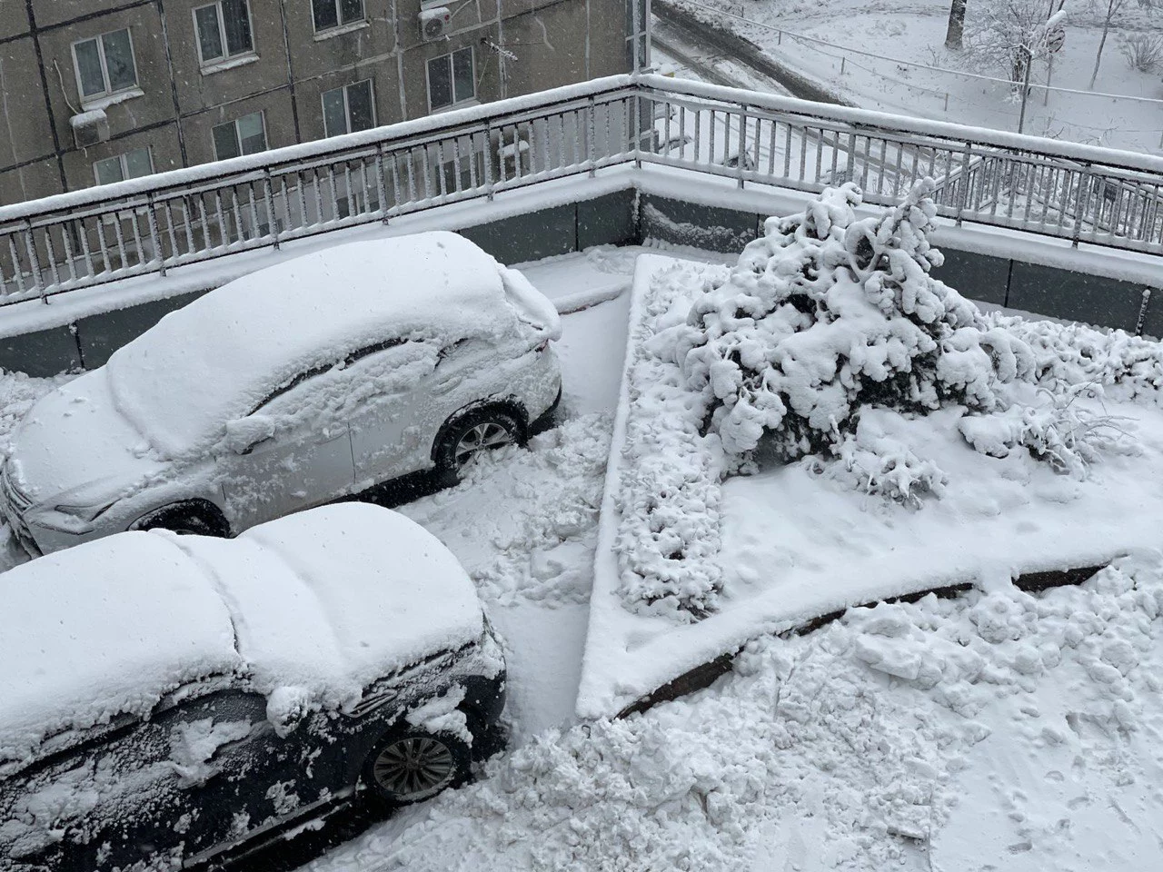 РБК Приморье