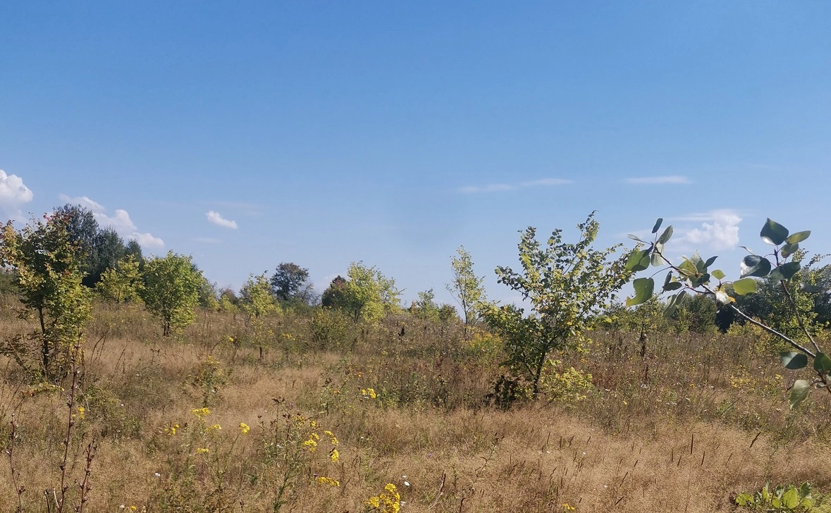 Управление Россельхознадзора по РБ